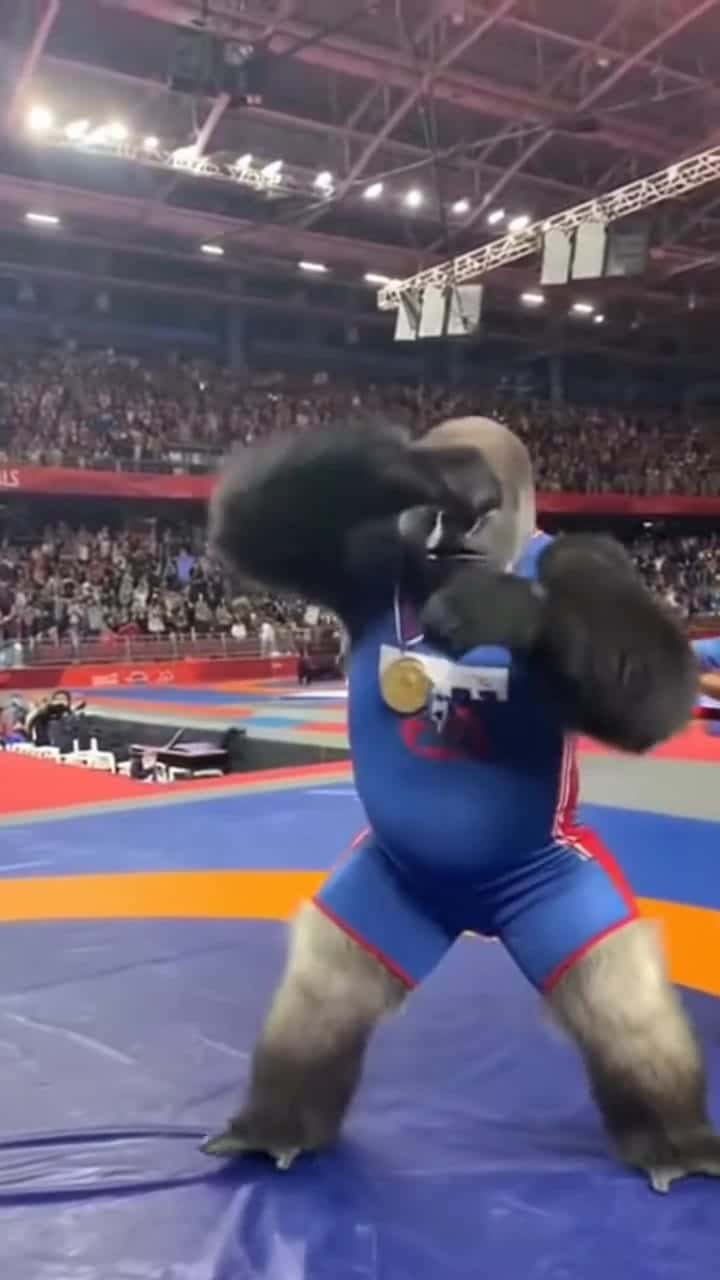 OpenAI Sora 2 Pro AI video example: enormous gorilla wins an olympic wrestling match, takes a microphone and shouts "I'm the one who knoc...
